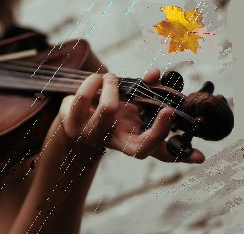 Скрипка дождя