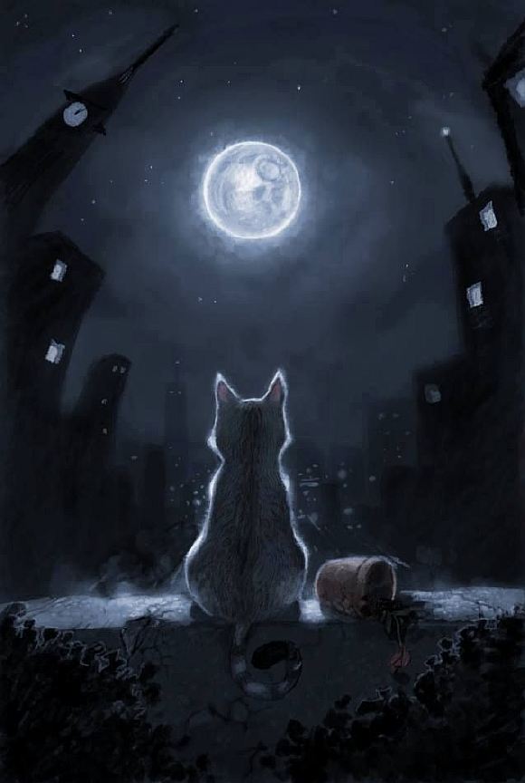 Котёнок под луной