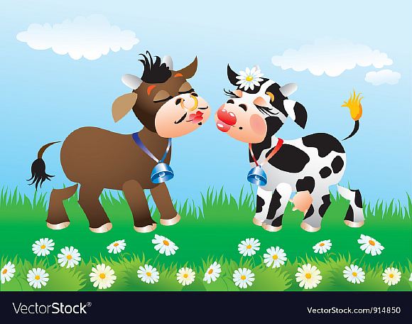 Корова влюбилась