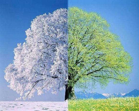Зима и весна.