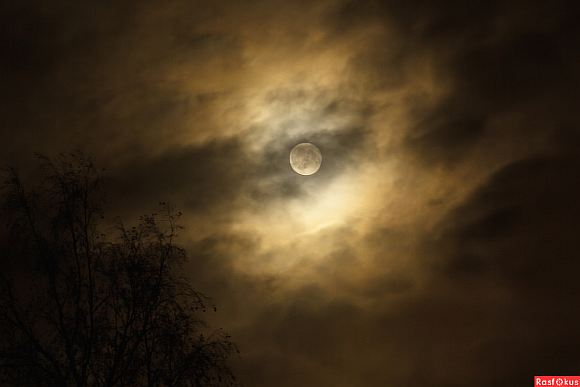 Вечерняя луна