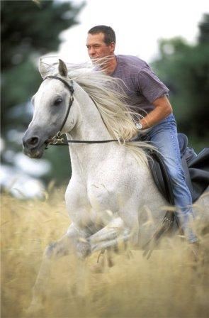 Принц на белом коне.