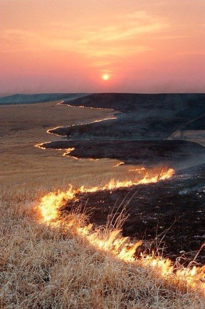 В жизни так бывает...