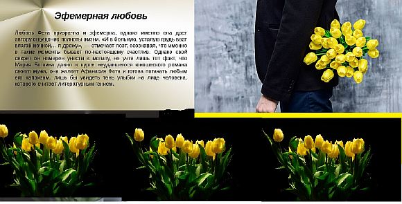 Жёлтые тюльпаны  (НЕ) вестники разлуки... 