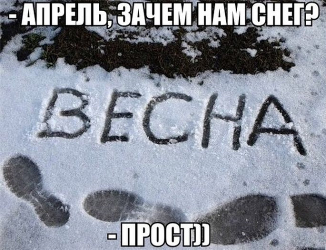 АПРЕЛЬ В СНЕГУ!