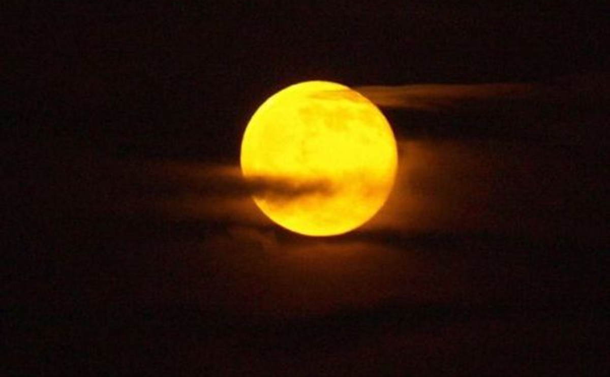 Луна как желтый медведь. Желтая Луна. Лунная ночь. Луна желтая большая. Полная желтая Луна.