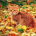 Рыжий кот по золоту листвы