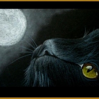 Стихи Лунного Котёнока